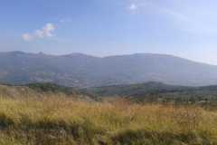 IMG-20210929-WA0003